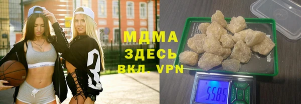 индика Алексин
