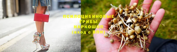 индика Алексин