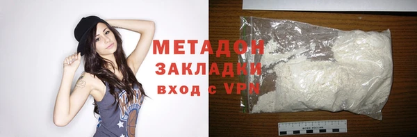 индика Алексин