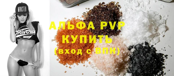 индика Алексин
