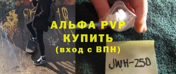 индика Алексин